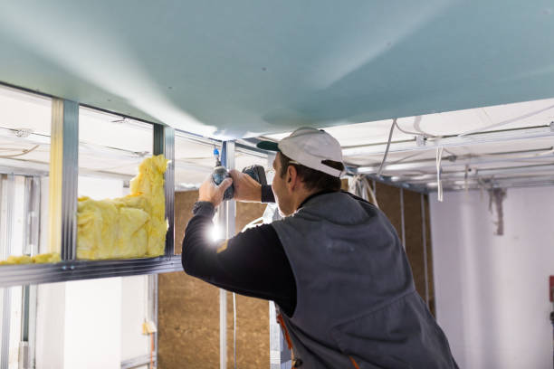 Best Wall Insulation Contractor  in Manchaca, TX