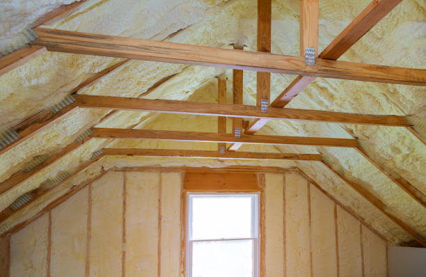 Best Best Insulation Companies  in Manchaca, TX