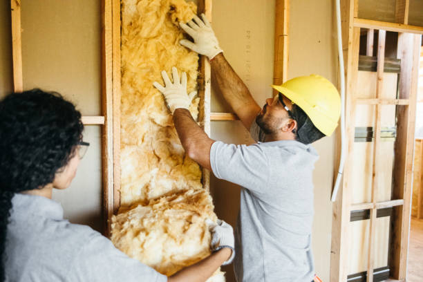 Best Insulation Removal Services  in Manchaca, TX