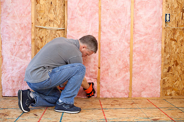 Best Insulation Installation Cost  in Manchaca, TX