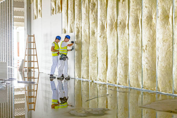 Best Garage Insulation Installation  in Manchaca, TX